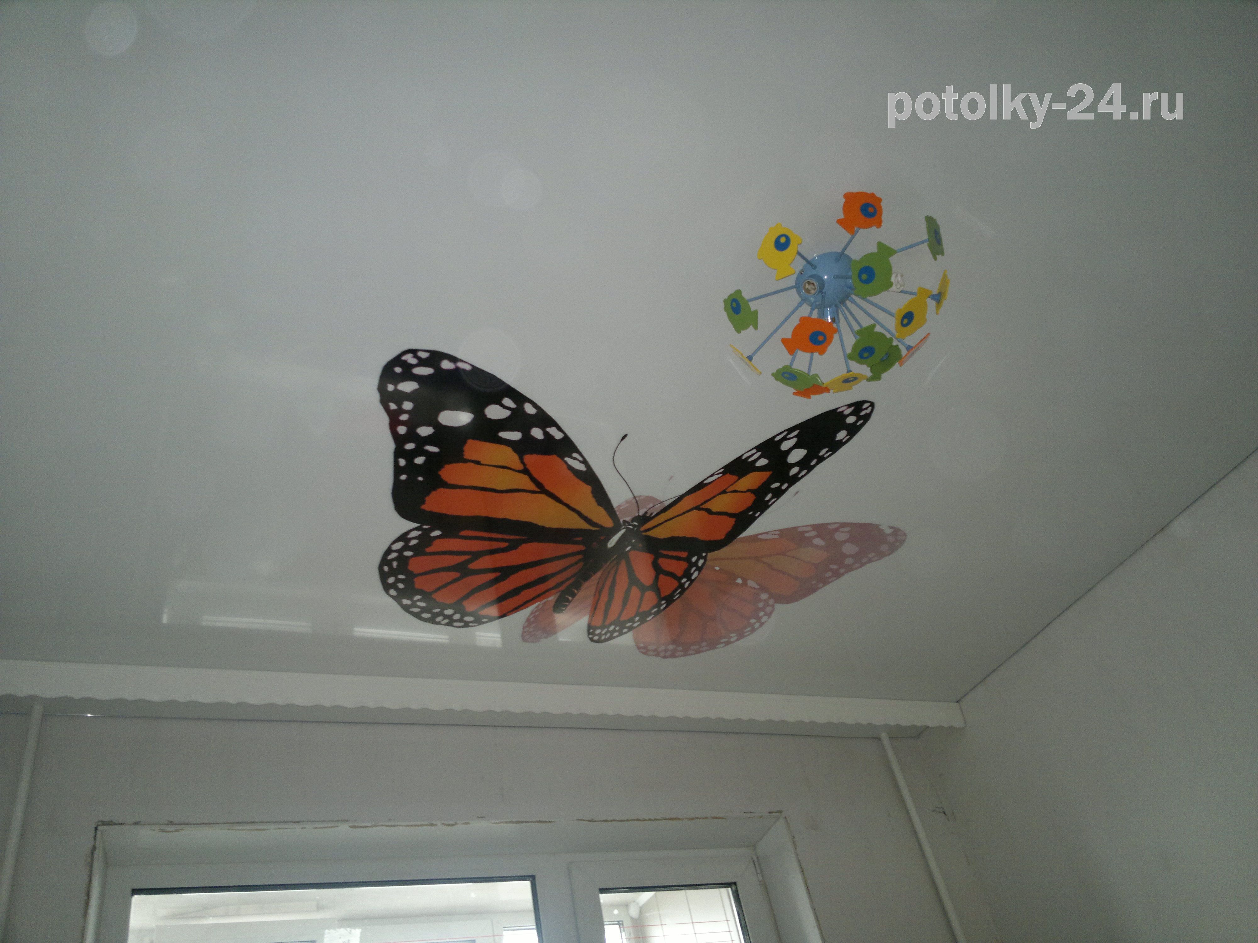 Бабочка на натяжном потолке