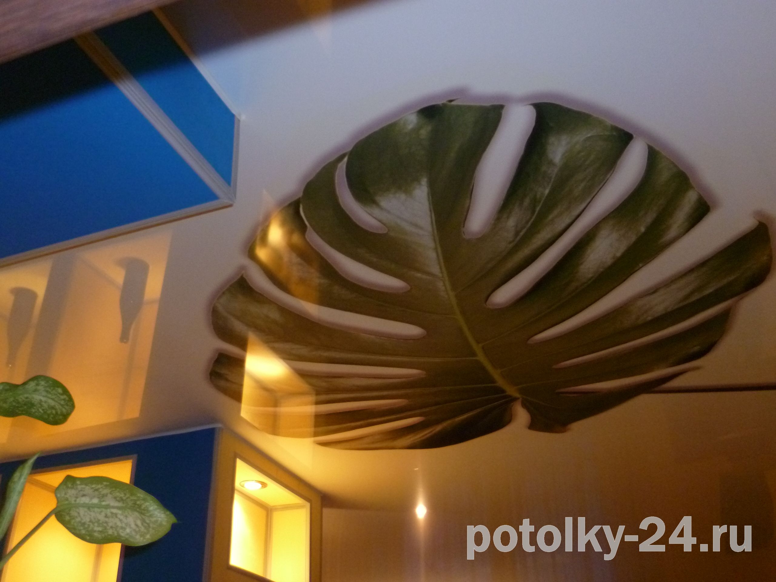 3D рисунок на натяжном потолке